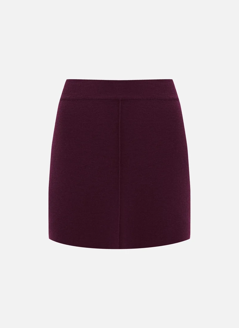 Lichi Straight mini skirt with a decorative seam