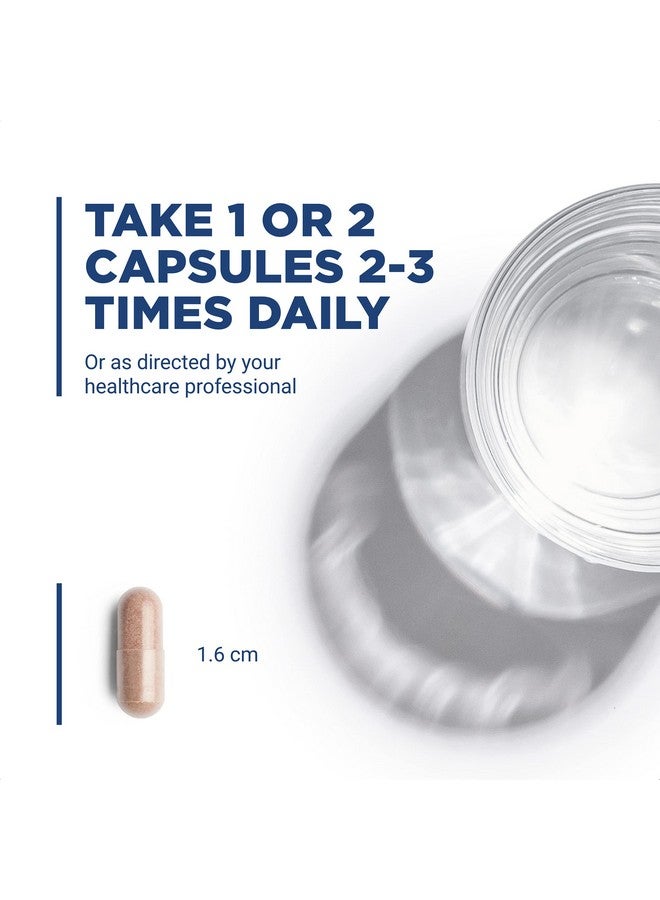 Vital Nutrients Grape Seed Extract Potent Antioxidant And Support For Vein Health 90 Vegetarian Capsules Per Bottle 100 Mg - Image 4