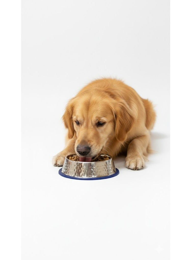 طبق طعام للحيوانات الأليفة من الفولاذ المقاوم للصدأ بقاعدة مانعة للانزلاق، 18 سم، تصميم مزخرف، متوفر بألوان متعددة - Image 1