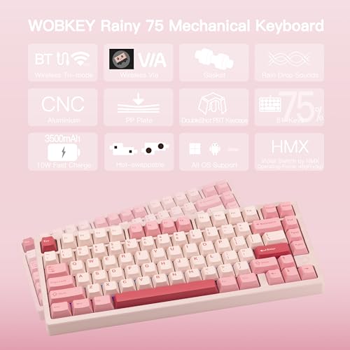 KEEBMONKEY WOBKEY Rainy 75 CNC Aluminum HMX/JWK/Cocoa Switches Triple-Mode Connectivity Mechanical Keyboard with Superior Acoustics, RGB/PP/Mirrored Glass/3500mAh/Violet Switch (Standard - Pink) - Image 2