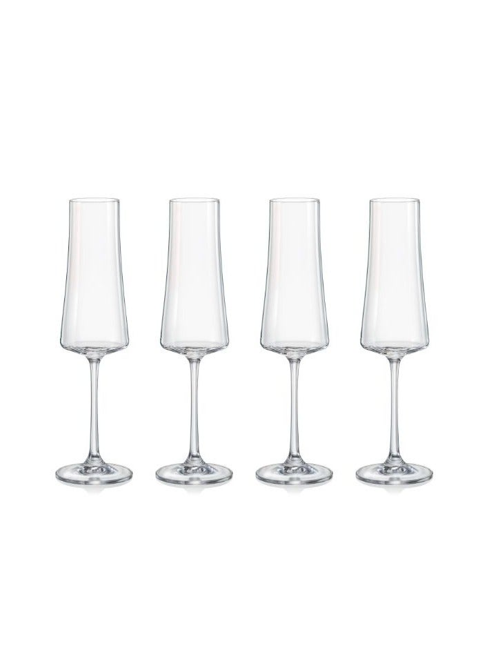 Crystalex Champagne Flute Glass Xtra 210ml, Crystalline (Pack of 4)