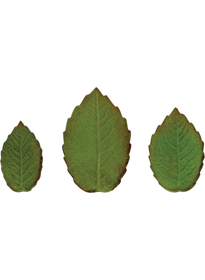 PME RL530 Plunger Cutters 3 kg-Veined Rose Leaf, White, Set of 3 - Image 4