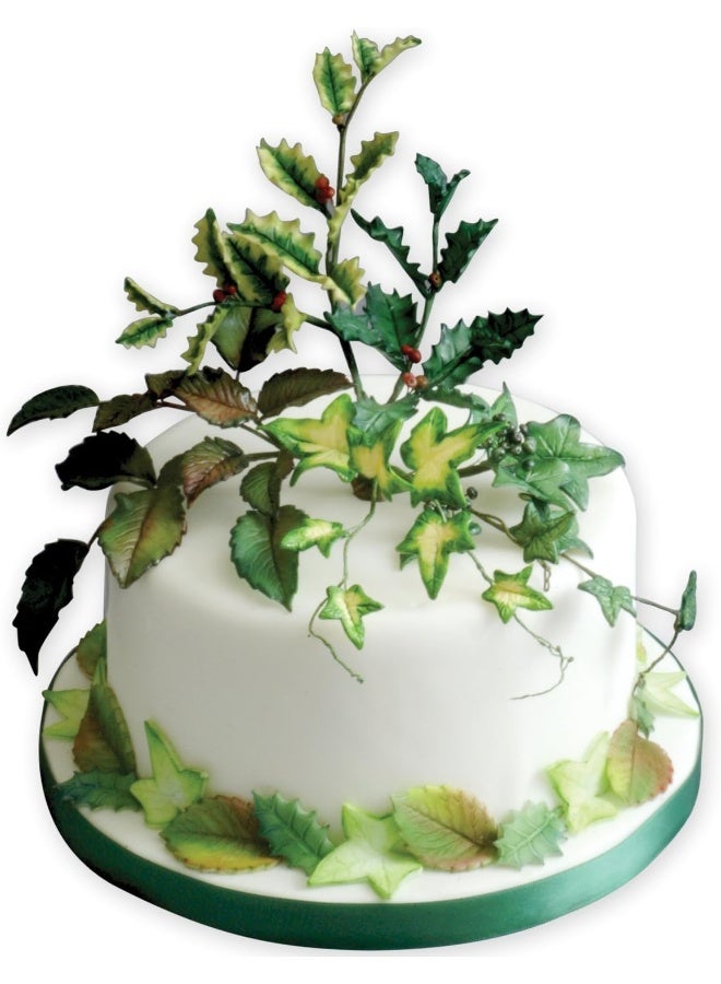 PME RL530 Plunger Cutters 3 kg-Veined Rose Leaf, White, Set of 3 - Image 5