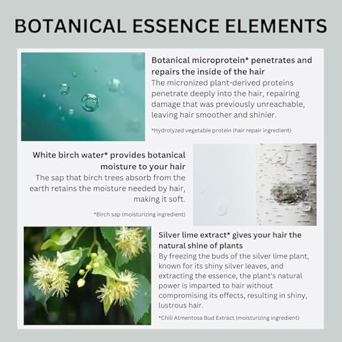 Botanist Japanese Organic & Natural Shampoo for Dry Hair, Hydrating & Moisturizing Hair Shampoo with Pump for Women & Men to Moist Hair, Sulfate & Silicone Free, Apricot & Jasmine 490 mL/16.5 fl Oz - Image 4