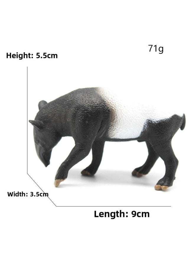 Animal Model Special For Teaching And Education Animal Model Kangaroo Elephant Lion Tiger Deer Ostrich Wolf-Color:4841 Malay Miao (73g)  - Image 1