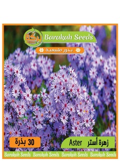 Generic High germination flower seeds -Aster flower 