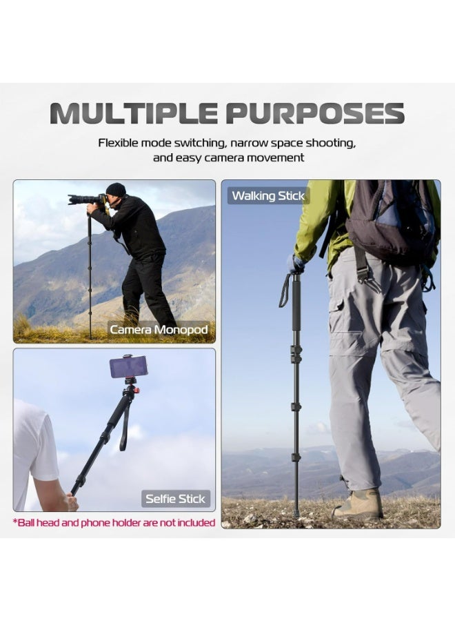 يولانزي حامل كاميرا أحادي يولانزي TB12 بطول 61 بوصة، مصنوع من الألومنيوم، مزود بخمسة أقسام لضبط الارتفاع، خفيف الوزن وسهل الحمل، مناسب لكاميرات كانون ونيكون وسوني بدون مرآة وكاميرات DSLR، سهل الحمل. - Image 3