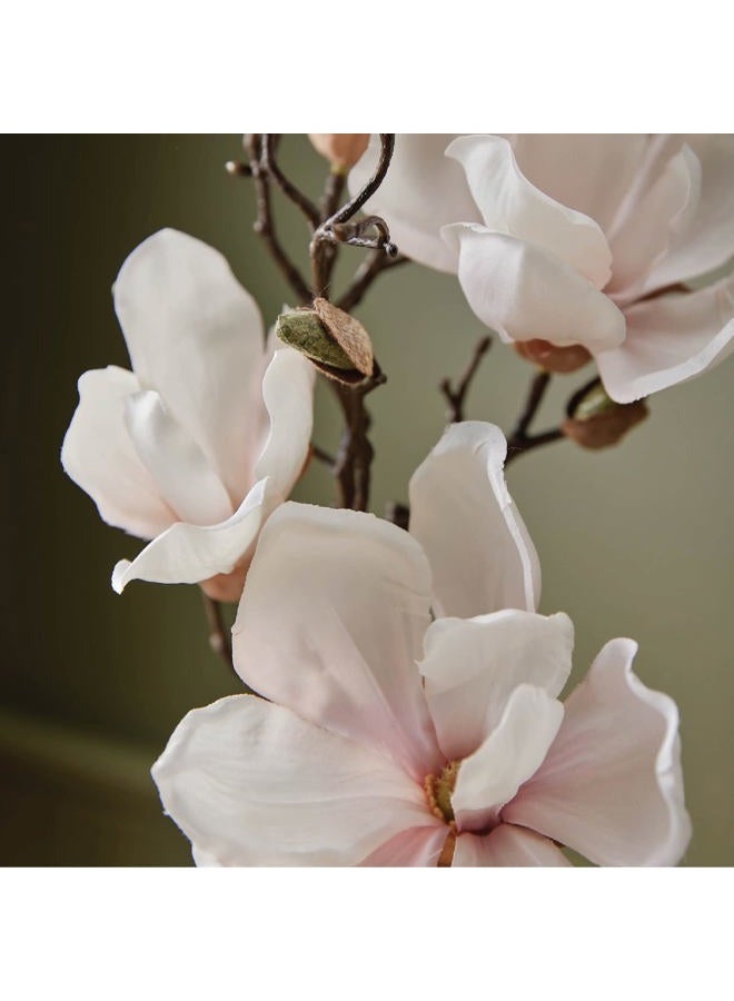 Thymes غسول يدين، كبير - ماغنوليا ويللو - 15.0 أونصة سائلة - Image 2
