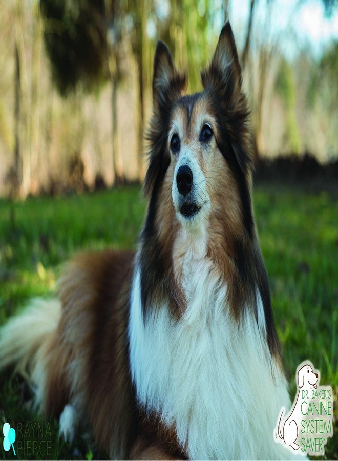 Homend  Dr. Baker's Canine System Saver - Image 5
