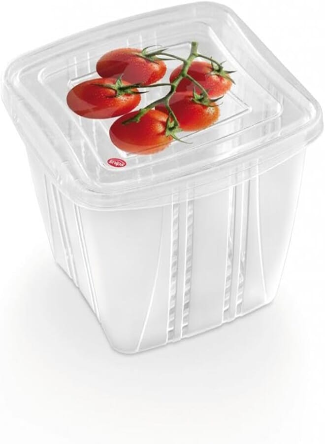 Snips food classic fresh container 1 liter square, multi-color, one size