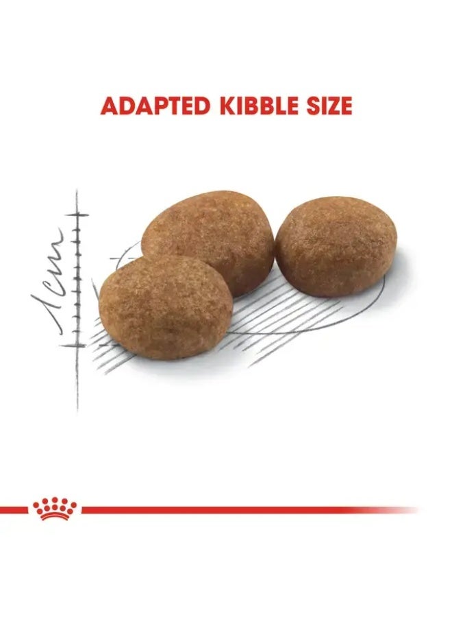 ROYAL CANIN رويال كانين للتغذية الصحية للقطط المعقمة 10 كجم - Image 5