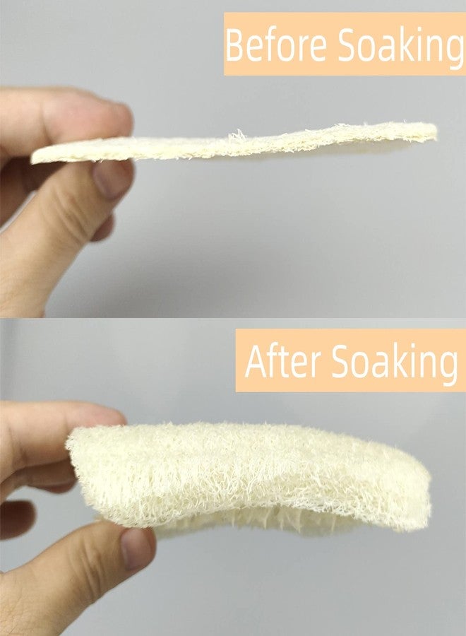 ENLAYER 50 Pack Natural Loofah Dish Sponge, Multipurpose Non-Scratch Luffa Kitchen Scrub Pad for Cleaning Kitchen, Bathroom, and Household - Image 4