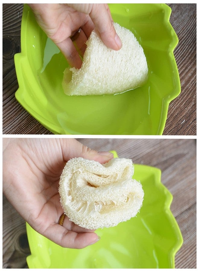 ENLAYER 50 Pack Natural Loofah Dish Sponge, Multipurpose Non-Scratch Luffa Kitchen Scrub Pad for Cleaning Kitchen, Bathroom, and Household - Image 3