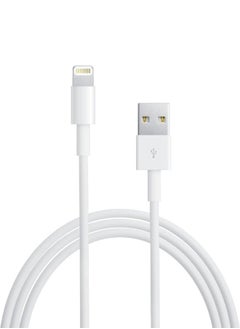 White - USB A To Lightning