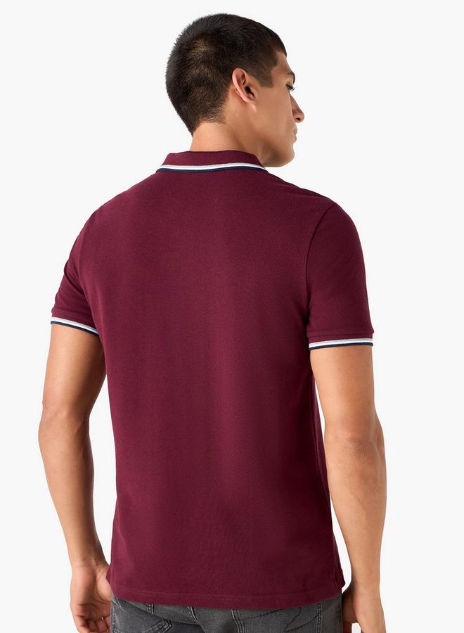 سبلاش فيڤ تيشيرت بولو مطرز بشعار - Image 3