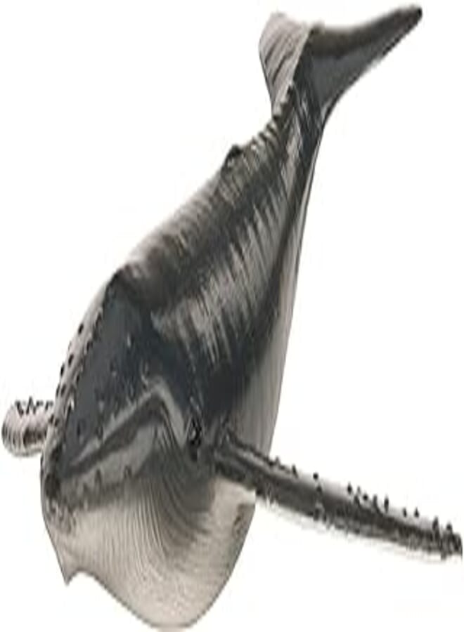 Terra Humpback Whale