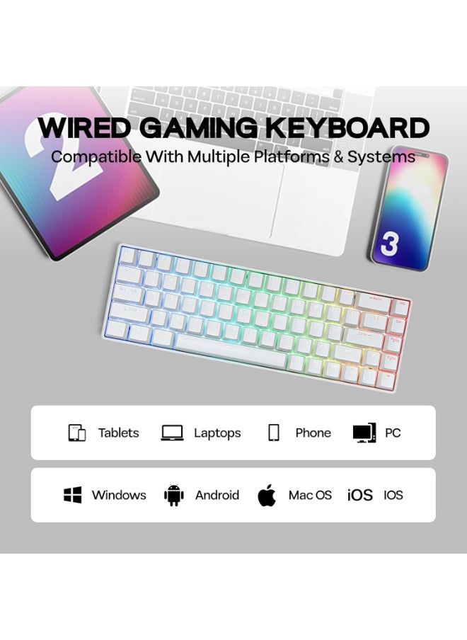 Fighting68 HE Magnetic Gaming Keyboard with Adjustable Actuation, 0.08mm RT Precision, Linear Aurora Magnetic Switch 8K Polling Rate, 68-Key Compact USB-C Wired Keyboard, Hot-Swappable, RGB Backlit (White Contours)