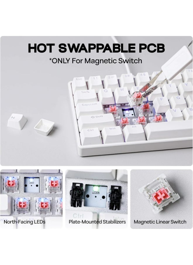 Fighting68 HE Magnetic Gaming Keyboard with Adjustable Actuation, 0.08mm RT Precision, Linear Aurora Magnetic Switch 8K Polling Rate, 68-Key Compact USB-C Wired Keyboard, Hot-Swappable, RGB Backlit (White Contours)