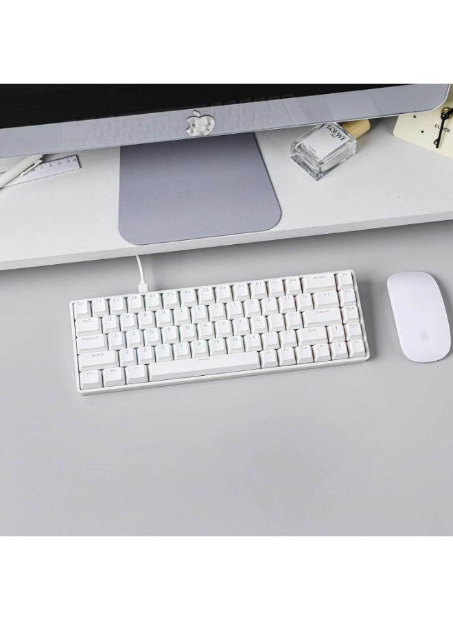 Fighting68 HE Magnetic Gaming Keyboard with Adjustable Actuation, 0.08mm RT Precision, Linear Aurora Magnetic Switch 8K Polling Rate, 68-Key Compact USB-C Wired Keyboard, Hot-Swappable, RGB Backlit (White Contours)
