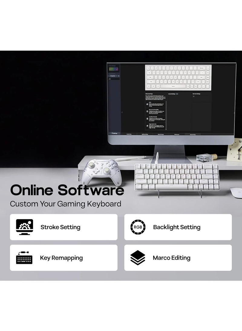 Fighting68 HE Magnetic Gaming Keyboard with Adjustable Actuation, 0.08mm RT Precision, Linear Aurora Magnetic Switch 8K Polling Rate, 68-Key Compact USB-C Wired Keyboard, Hot-Swappable, RGB Backlit (White Contours)