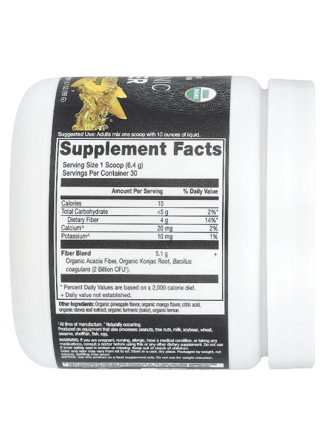 Ancient Nutrition - Ancient Nutrition, Organic Fiber, Pineapple Mango , 6.7 oz (191 g) - Image 1