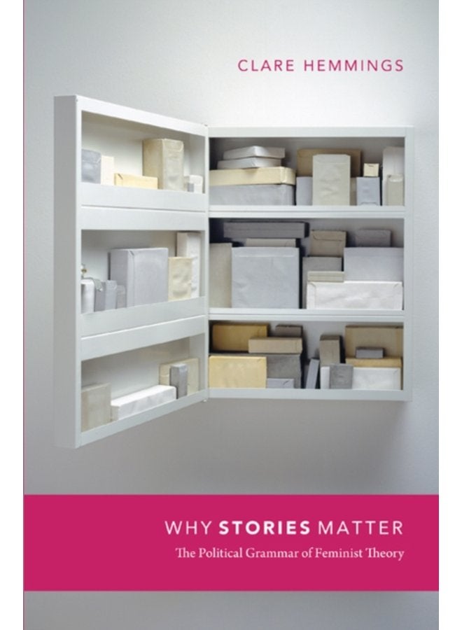 Why Stories Matter The Political Grammar of Feminist Theory - Paperback