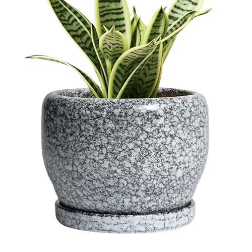 SQOWL Ceramic Pot for Plants - 6 Inch Ceramic Planter for Indoor Outdoor, Decorative Plant Pot with Drainage Hole and Saucer, Round Planter for Flower, Bedroom Decor, Garden Gifts, Black and White - Image 1