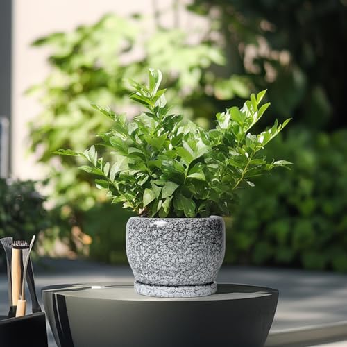 SQOWL Ceramic Pot for Plants - 6 Inch Ceramic Planter for Indoor Outdoor, Decorative Plant Pot with Drainage Hole and Saucer, Round Planter for Flower, Bedroom Decor, Garden Gifts, Black and White - Image 4