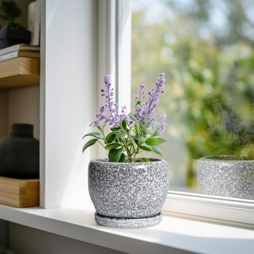 SQOWL Ceramic Pot for Plants - 6 Inch Ceramic Planter for Indoor Outdoor, Decorative Plant Pot with Drainage Hole and Saucer, Round Planter for Flower, Bedroom Decor, Garden Gifts, Black and White - Image 2