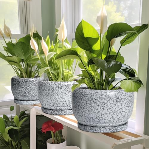 SQOWL Ceramic Pot for Plants - 6 Inch Ceramic Planter for Indoor Outdoor, Decorative Plant Pot with Drainage Hole and Saucer, Round Planter for Flower, Bedroom Decor, Garden Gifts, Black and White - Image 5