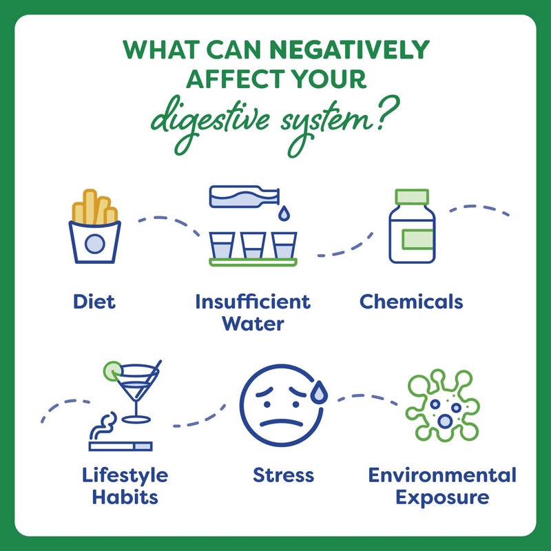 Probulin كبسولات بروبيولين للعناية اليومية بالبروبيوتيك - Image 5