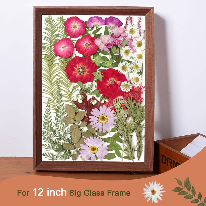 ZMRU زهور مضغوطة مجففة كبيرة بحجم A5 لزينة عيد الميلاد، أوراق زهور طبيعية مجففة حقيقية لقولبة الراتنج، زينة الكعك، حافظات الهواتف (وردة رومانسية) - Image 4