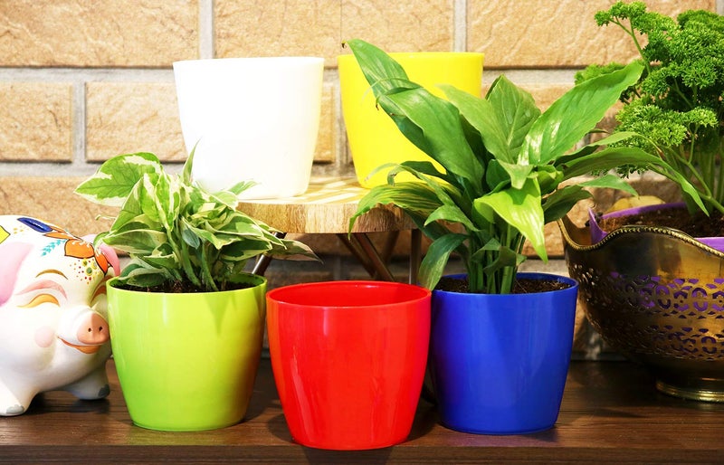 Leafy Tales Plastic Pots, Pots for Plants, Gardening (Multicolour, Size: Small, Set of 5) - Image 4