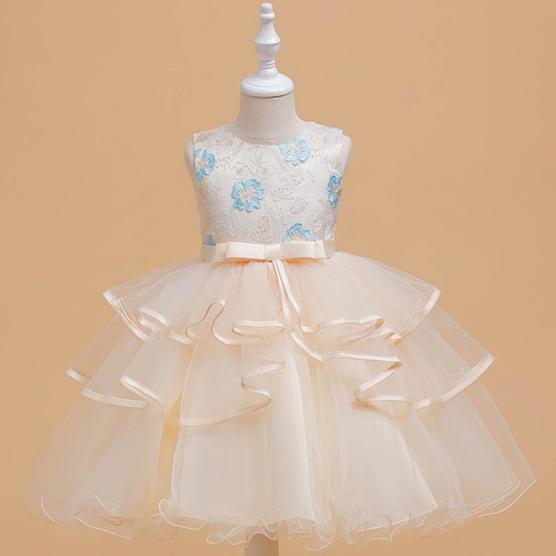 New Embroidered Girls Puffy Mesh Princess Dress Birthday Dinner Show Dress Factory Wholesale champagne