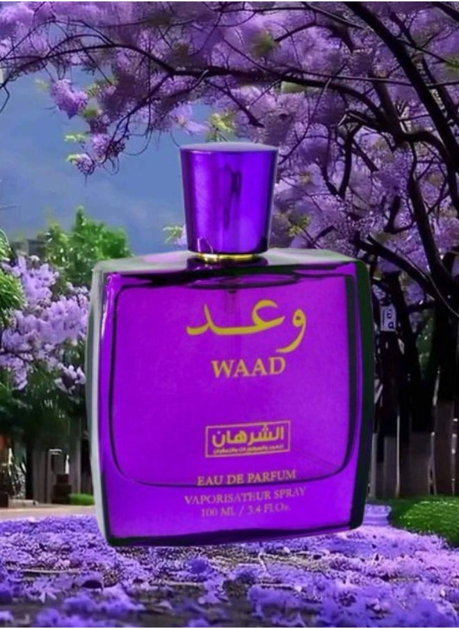 10 Pieces Waad Perfume 100ML - pzsku/ZB99F4C8FB11EF6BF4149Z/45/_/1731056150/6766d36c-aea3-439e-a20a-171d5a6fc71d