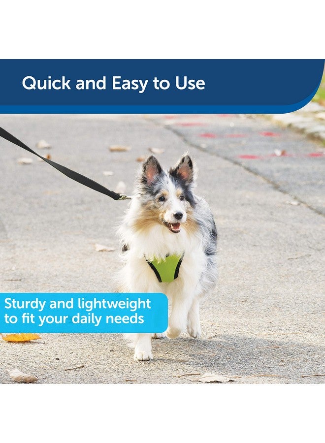 بيت سيف مقود الكلاب من النايلون من PetSafe - مقود قوي ومتين بتصميم تقليدي مع مشبك سهل الاستخدام للكلاب الصغيرة والمتوسطة والكبيرة - 3/4 بوصة × 4 أقدام، لون أسود - Image 3