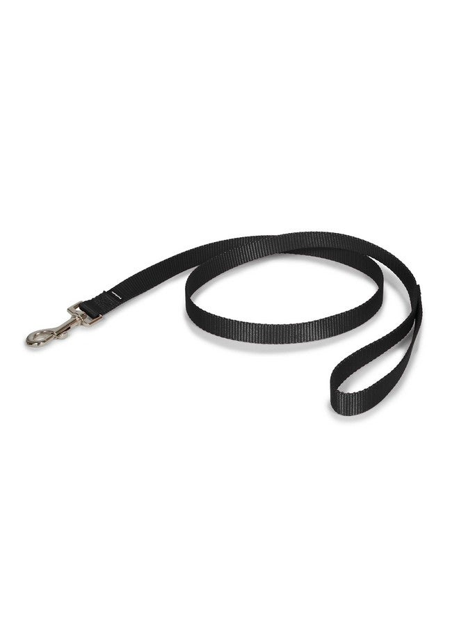 بيت سيف مقود الكلاب من النايلون من PetSafe - مقود قوي ومتين بتصميم تقليدي مع مشبك سهل الاستخدام للكلاب الصغيرة والمتوسطة والكبيرة - 3/4 بوصة × 4 أقدام، لون أسود - Image 1