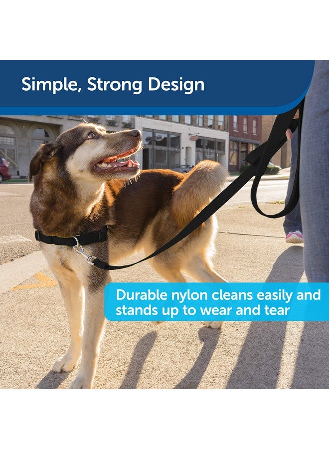 بيت سيف مقود الكلاب من النايلون من PetSafe - مقود قوي ومتين بتصميم تقليدي مع مشبك سهل الاستخدام للكلاب الصغيرة والمتوسطة والكبيرة - 3/4 بوصة × 4 أقدام، لون أسود - Image 4