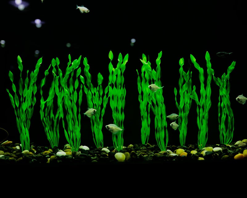 MyLifeUNIT Artificial Seaweed Water Plants for Aquarium, Plastic Fish Tank Plant Decorations 10 PCS (12 Inches Tall, Green) - Image 5