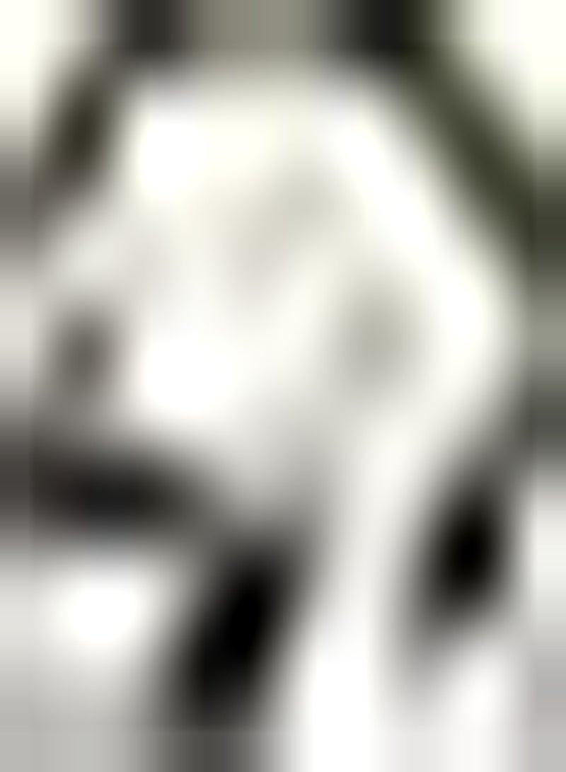 GGOOT 10pcs Tulpenzwiebeln mehrjährig schaffen einzigartige künstlerische Landschaften wesentliche Materialien Innendekoration viel geliebt Einfach zu wachsen - Image 1