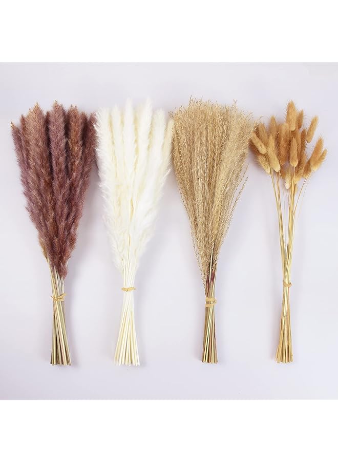 The Bros 100 Pcs Dried Pampas Grass Decor, Brown and White Pampas Grass, Reed Grass, Rabbit Tail Grass, Boho Home Decor Bouquet, Dried Flowers for Wedding Floral Arrangements Wall Bathroom Decor - Image 1