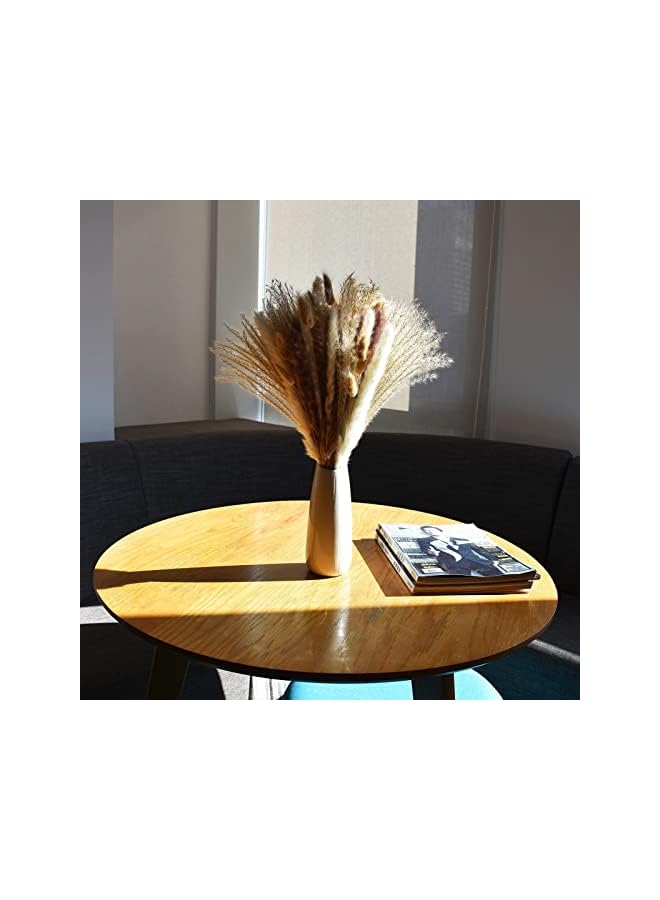 The Bros 100 Pcs Dried Pampas Grass Decor, Brown and White Pampas Grass, Reed Grass, Rabbit Tail Grass, Boho Home Decor Bouquet, Dried Flowers for Wedding Floral Arrangements Wall Bathroom Decor - Image 3