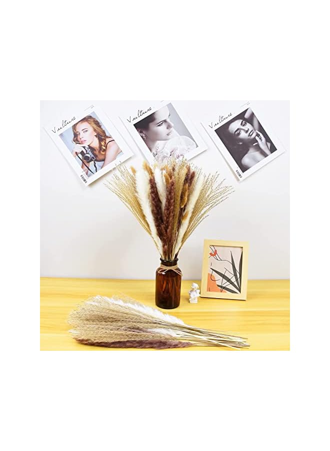 The Bros 100 Pcs Dried Pampas Grass Decor, Brown and White Pampas Grass, Reed Grass, Rabbit Tail Grass, Boho Home Decor Bouquet, Dried Flowers for Wedding Floral Arrangements Wall Bathroom Decor - Image 5