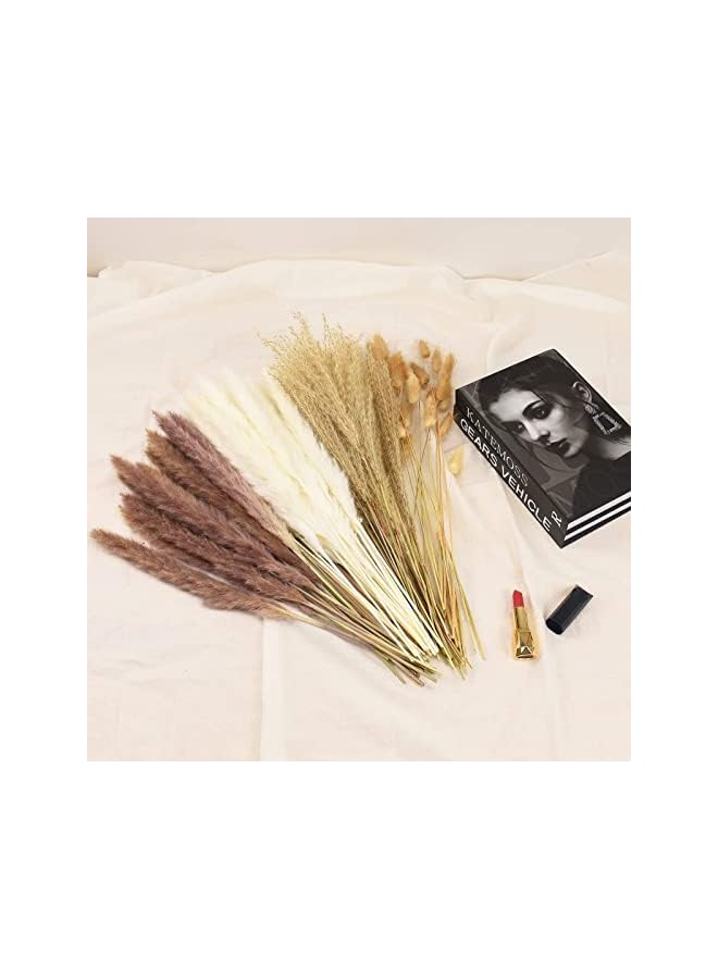 The Bros 100 Pcs Dried Pampas Grass Decor, Brown and White Pampas Grass, Reed Grass, Rabbit Tail Grass, Boho Home Decor Bouquet, Dried Flowers for Wedding Floral Arrangements Wall Bathroom Decor - Image 4