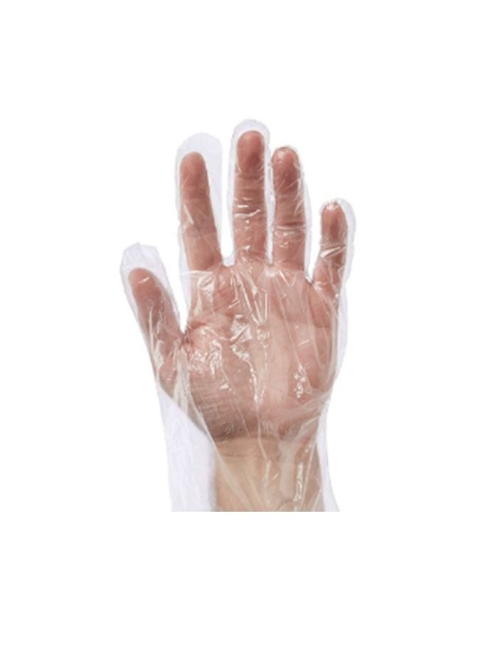 Gesalife 100 Piece Plastic Disposable Latex and Powder Free Clear Gloves - Image 2