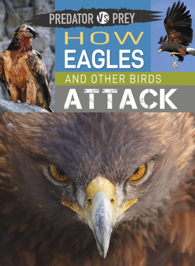 Predator vs Prey: How Eagles and other Birds Attack