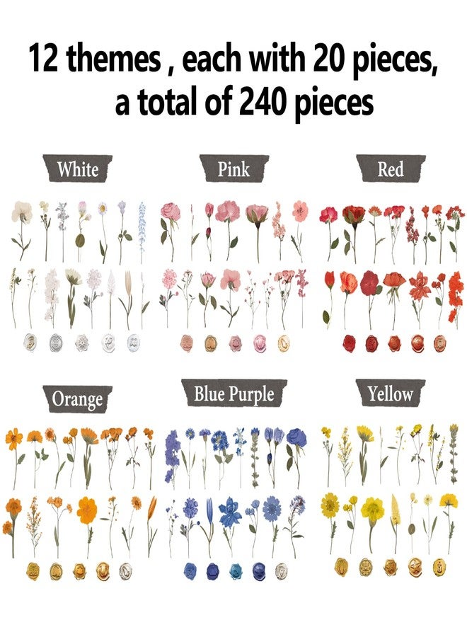 NESCCI Pressed Flower Themed Stickers Set (240 Pcs) Stickers,Scrapbook Supplies,Dried Flowers Resin Stickers,Scrapbook Stickers,journaling Stickers,Flower Stickers,Laptop Stickers,Wax Seal Stickers - Image 5