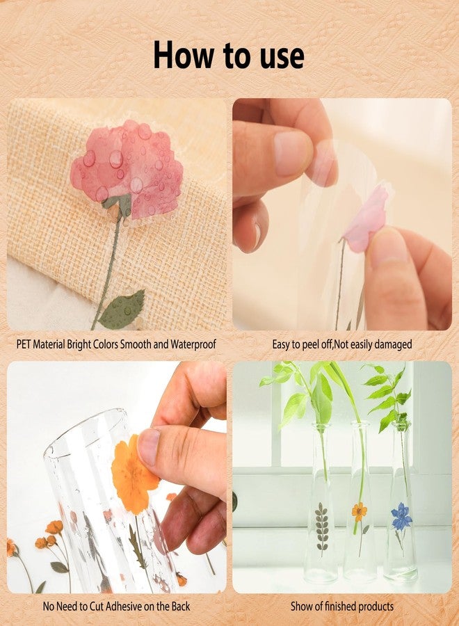 NESCCI Pressed Flower Themed Stickers Set (240 Pcs) Stickers,Scrapbook Supplies,Dried Flowers Resin Stickers,Scrapbook Stickers,journaling Stickers,Flower Stickers,Laptop Stickers,Wax Seal Stickers - Image 4