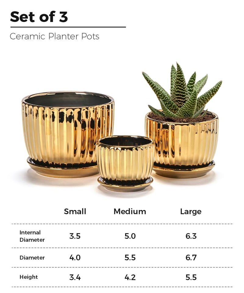 Ton Sin Gold Plant Pots,4.1+5.1+6.5 Inch Ceramic Succulent Planters Set of 3 Mini Indoor Flower Pot with Drainage,Handmade Decorative Ceramic Orchid and Herb Pots(Gold) - Image 2