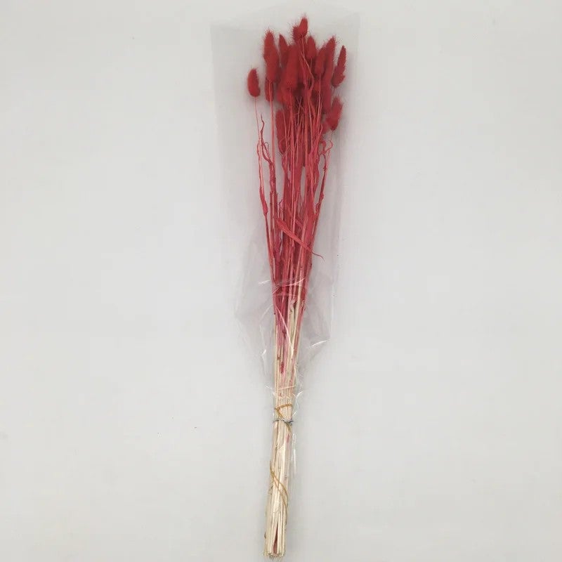 Bluejw Bouquet of Preserved Rabbit Tail Grass Dried Flowers in Primary Colors – Natural Dried Plants for Wedding Decor, Home Decoration, and Rustic Floral Arrangements - Image 1